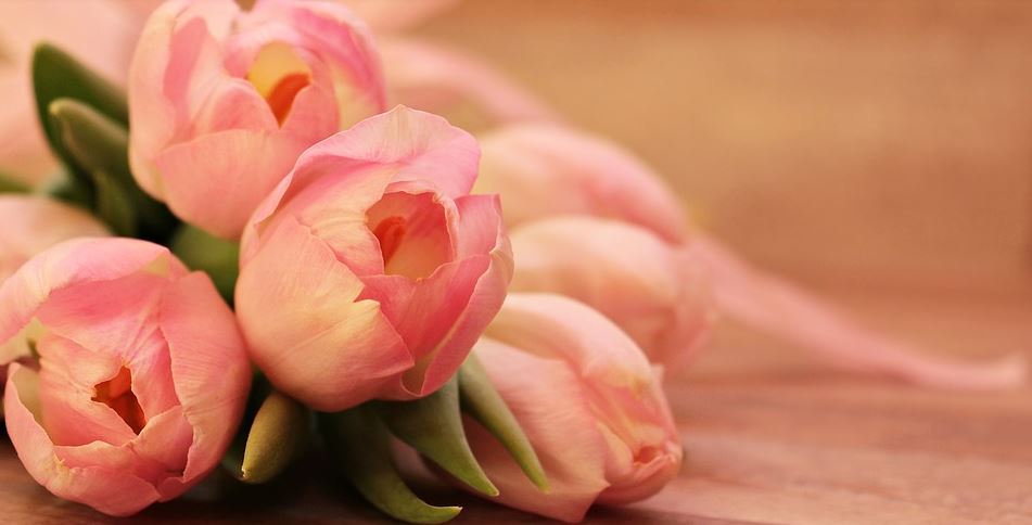 funeral homes in Marietta, GA