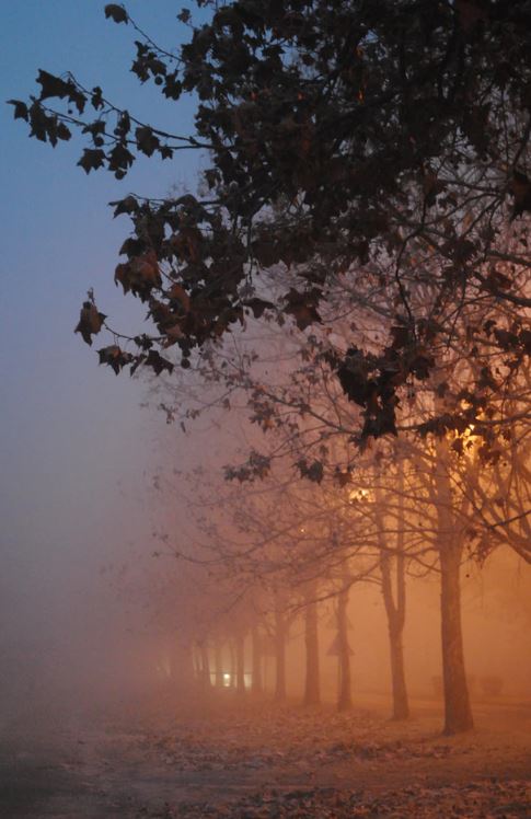 cremation services in Austell, GA