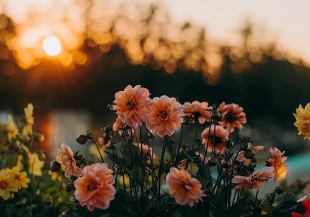 Austell, GA funeral home