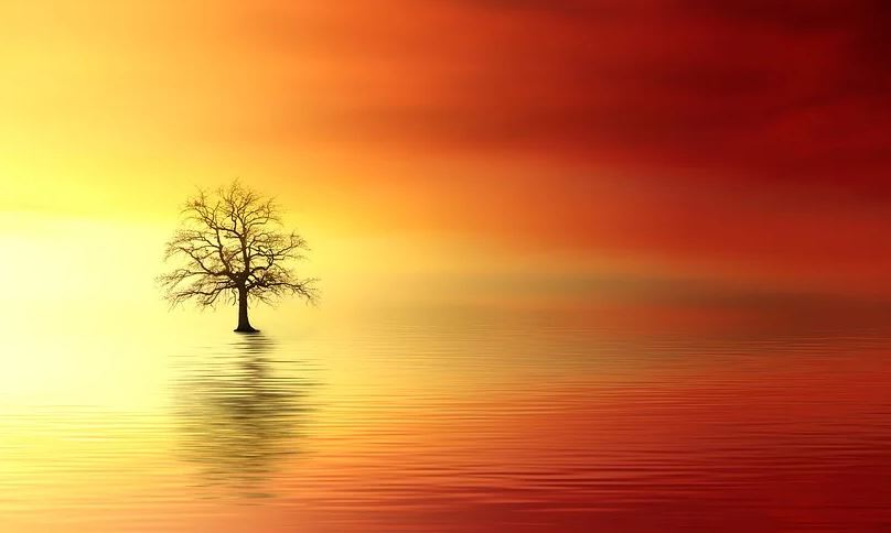 cremation services in Marietta, GA