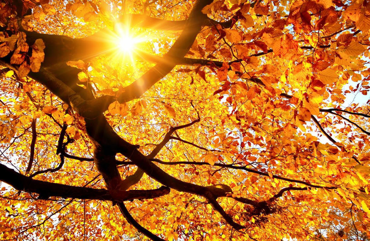 funeral home services in Marietta, GA