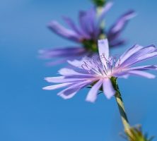 funeral homes in Marietta, GA