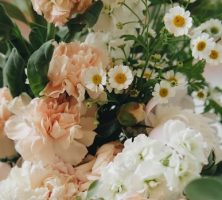 cremation service in Powder Springs, GA
