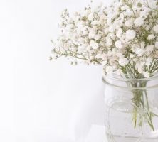 cremation service in Marietta, GA