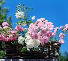 funeral homes in Marietta, GA