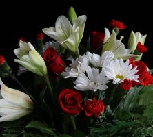 Funeral homes in Austell, GA