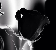  Funeral homes in Austell, GA
