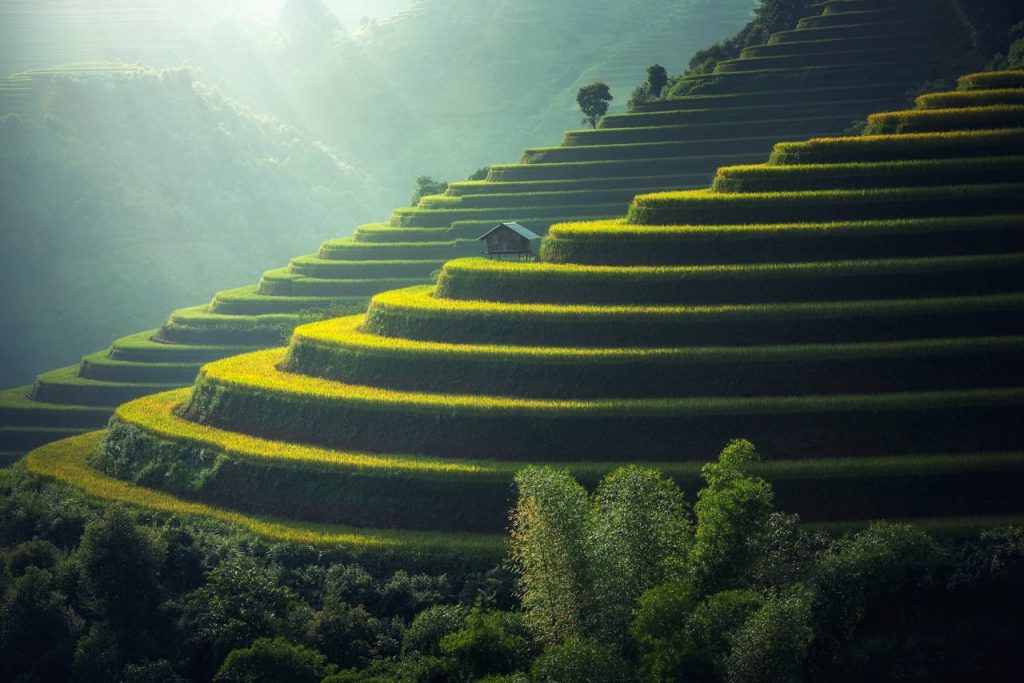 Sunlit Green Terraced Hills With A Small Wooden Hut Nestled Among The Layers