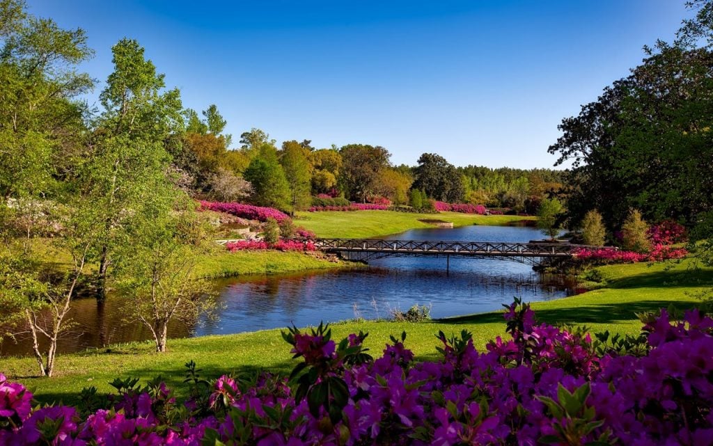 Vibrant Garden Landscape With Pink Flowers Surrounding A Pond
