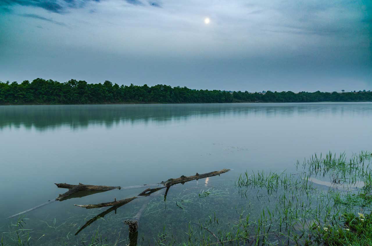 Calm Lake At Dusk With Moonlit Sky Tree Line Reflections Driftwood And Grassy Shoreline