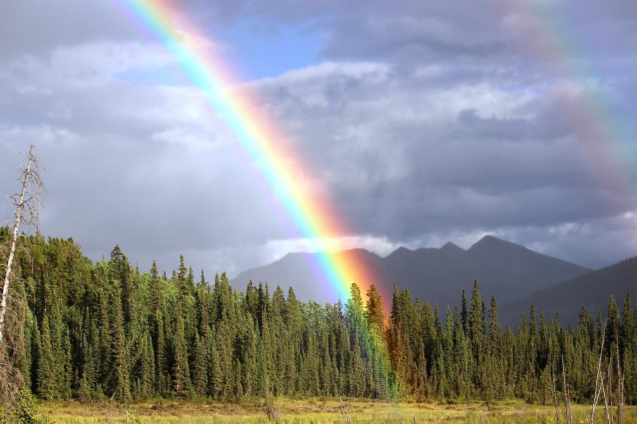 Vibrant Rainbow Over Evergreen Forest with Mountain Silhouette and Stormy Sky