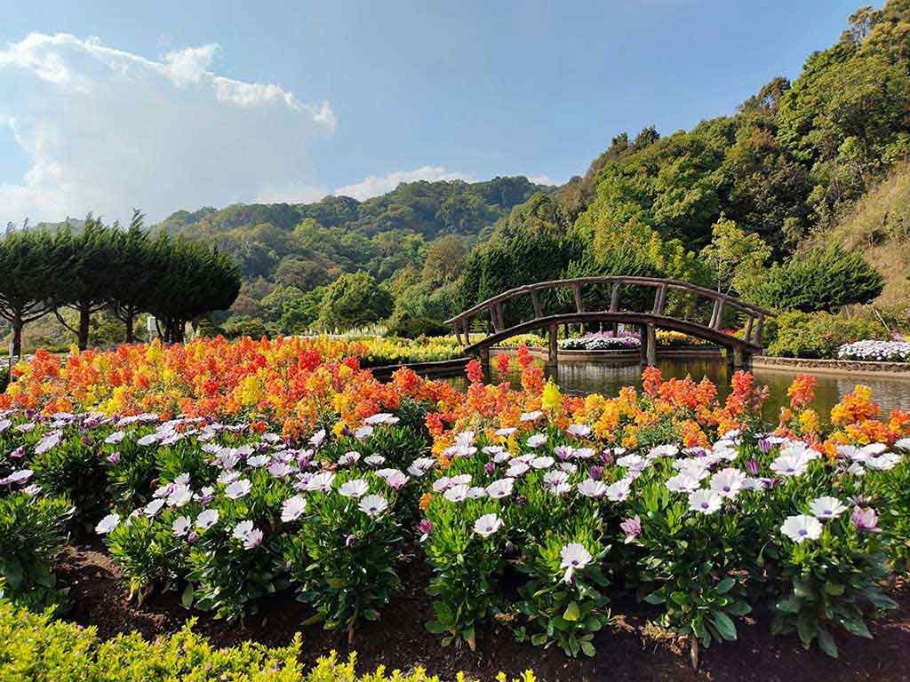 Colorful Flower Garden with Wooden Bridge Over Pond and Green Hills